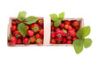 Strawberries on white