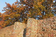 Stadtmauer im Herbst