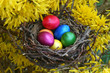 buntes Osternest