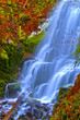 Spectacular Falls