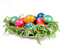 Photo: EAster egg nest EAster egg nest