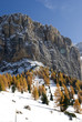 Italian Alps