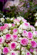Roses, bouquet, amour, fleur, fleuriste, amoureux