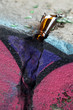 Bière brisée