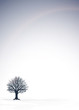 Vektor: tree tree