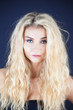 portrait of a blond girl portrait of a blond girl
