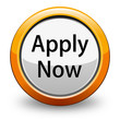 Vector: Apply Now button Apply Now button