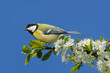 Frühling 105