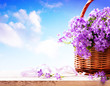 bluebells spring flowers in a basket