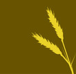 gold wheat illusration