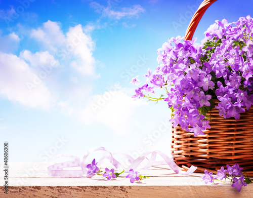 Photo: bluebells spring flowers in a basket bluebells spring flowers in a basket