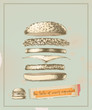 the taste of every ingredient - hamburger- drawing