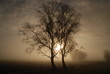 Sonnenaufgang im Nebel