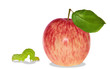 isolated striped apple and worm isolated striped apple and worm