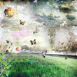 Field of miracles