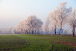 Frost am morgen