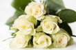 weiße Rosen