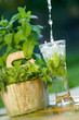 Fresh water with mint