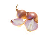 Onions Onions