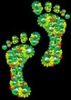 Flowers footprints