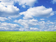 Beautiful green field and blue sky Beautiful green field and blue sky