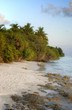 Turquoise Lagoon / Atoll with beach on the Maldives (Malediven) Turquoise Lagoon / Atoll with beach on the Maldives (Malediven)