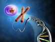 From Dna to cell