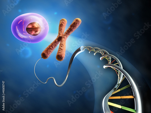 Illustration: From Dna to cell From Dna to cell
