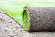 Rollrasen Gartenbau