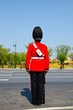 Thai king's royal bodyguard. Thai king's royal bodyguard.
