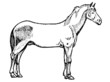 cheval