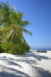 Perfect beach on the Maldives (Malediven)