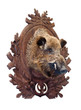 Stuffed wild boar head on white