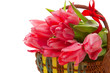 Geburtstag,Tulpen