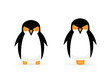 Penguin robot