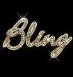 Bling bling shiny word vector