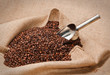 Export Cafè