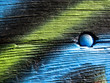 Holz und bunt