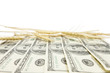 Profit from harvest background