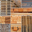 holz