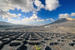 Desert landscape, Lanzarote island (Spain)