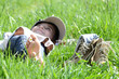 Kind in der Wiese