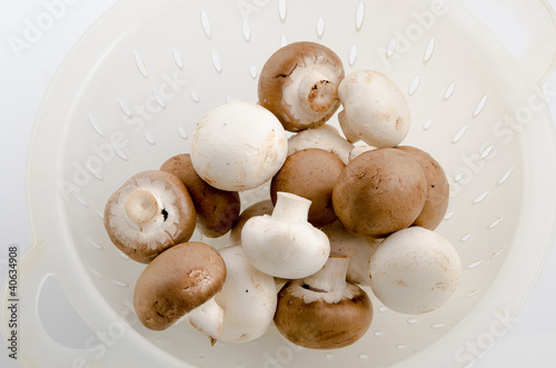 Photo: Braune und weiße Champignons Braune und weiße Champignons