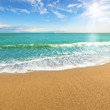 Sea shore