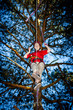 Girl climbing in adventure park