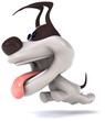 Fun dog