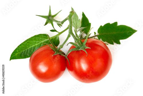 Photo: Zwei reife Tomaten mit frischen Blättern Zwei reife Tomaten mit frischen Blättern