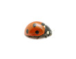 red ladybug