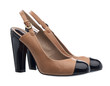 Pair of elegant women shoes isolated over white