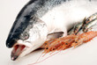 TESTA DI SALMONE TESTA DI SALMONE